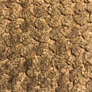 Meet your Posher, Tiana